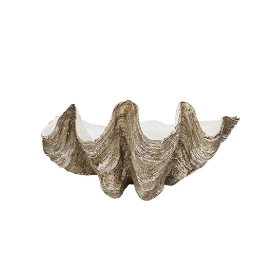 Design Shop Decorative Resin Clam Shell Wall Container